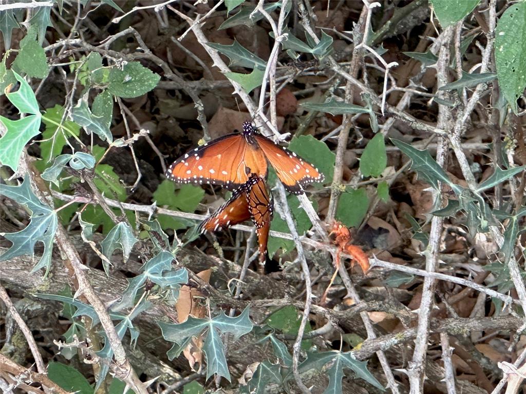 Kings Point Cove Unit 2 - Land