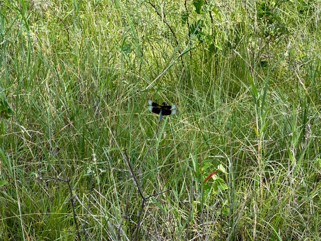 Kings Point Cove Unit 2 - Land