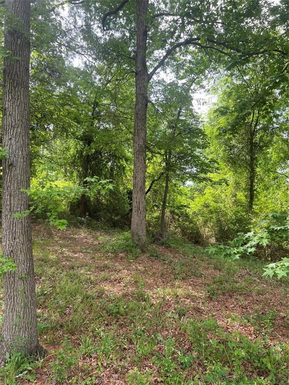 5417 Briarcliff Circle