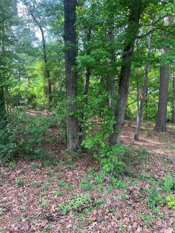 5417 Briarcliff Circle