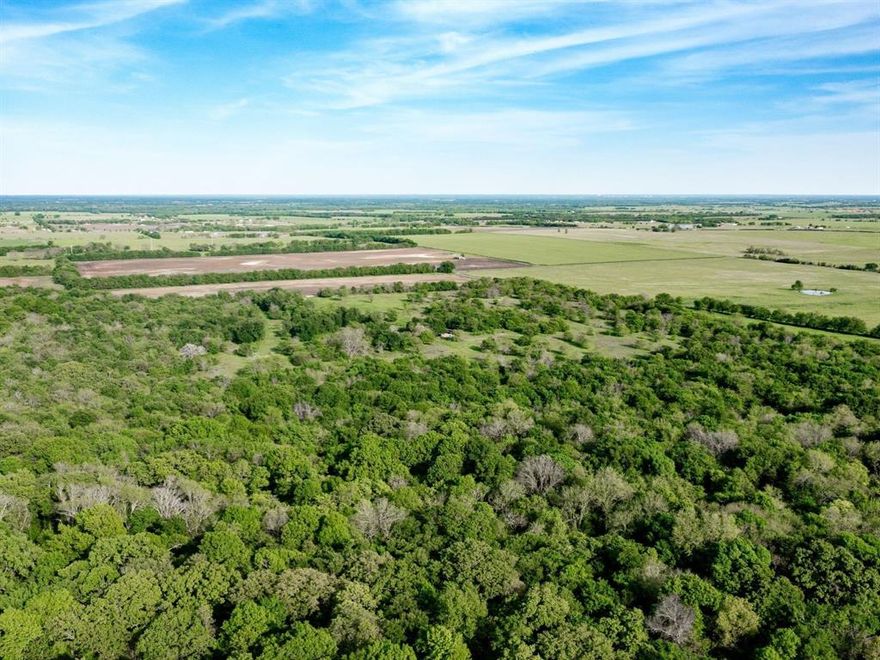 Discover the ultimate hunting retreat on this sprawling 152-acre ranch in Hunt County, Texas, near the charming town of Wolfe City.  This extraordinary property offers a unique blend of raw, natural beauty and modern living, with an off-the-grid, custom container home designed for outdoor enthusiasts who appreciate luxury and adventure.  Located just 78 miles northeast of downtown Dallas and 20 miles north of Greenville, this ranch is conveniently located and poised to appreciate as DFW relentlessly expands northward and more people move to Texas.