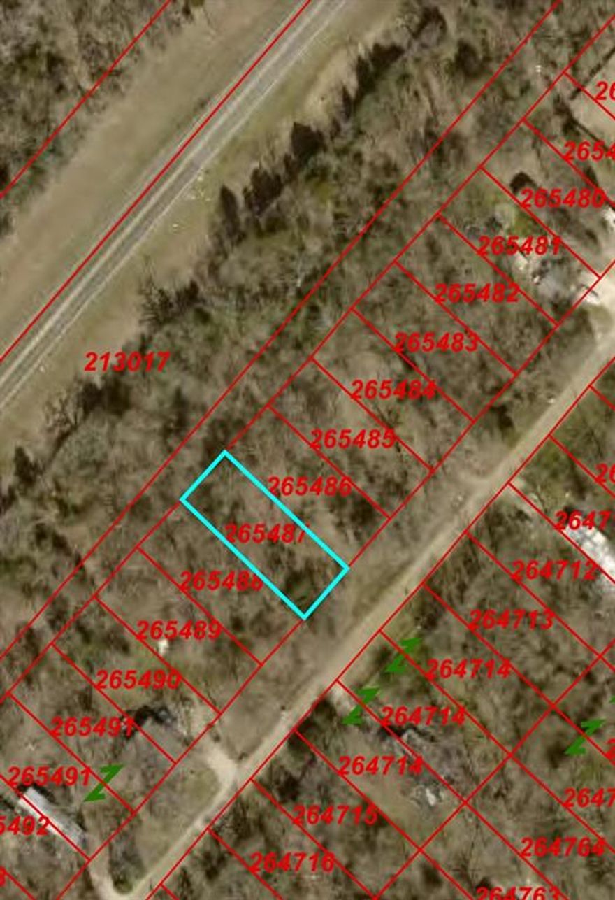 Great opportunity to purchase a buildable lot in Henderson County! This property can be purchased individually or bundled with additional available lots for investors looking to expand their portfolio. The lot features a level layout with scattered mature trees, creating a beautiful setting for a future homesite or a long-term hold. Located within an established subdivision, it offers a peaceful, rural atmosphere while remaining conveniently accessible to nearby highways, towns, and Cedar Creek Lake. Owner financing is available, making this an excellent opportunity for buyers seeking flexible purchase options.