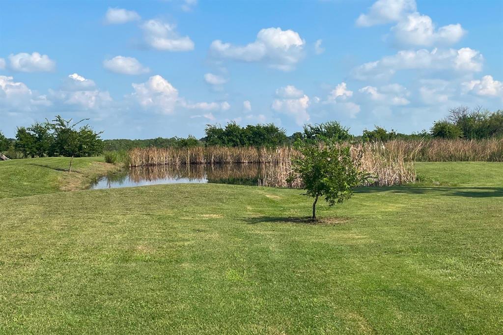 GAGE ADDN, LOT 1, ACRES 3.972 - Farm