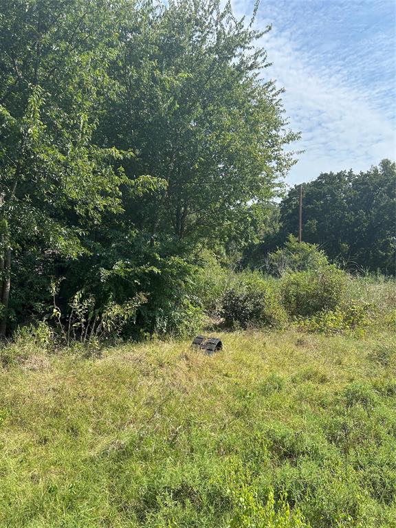5229 County Road 316