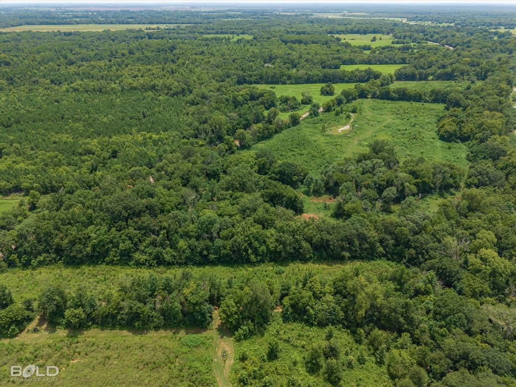 Belcher, Louisiana 71004, United States, ,Land,Active,186810