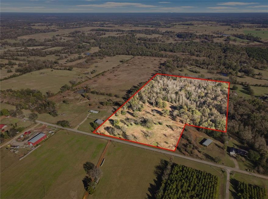 Discover the perfect setting on this sprawling 26-acre property, showcasing a picturesque landscape of mature trees and fenced boundaries. Situated in the prestigious Chapel Hill ISD, this tract offers endless possibilities for your dream home or investment project. With proximity to shopping and dining options just minutes away, convenience meets tranquility in this sought-after location. Whether you envision building a private retreat or exploring development opportunities, this property is a blank canvas ready for you to realize your vision. Don't miss the chance to make it yours today!