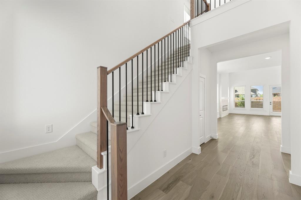 817 Meadow Spring Lane