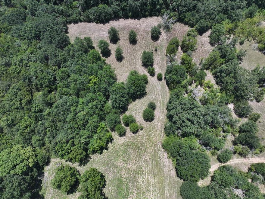 Escape to nature on this beautiful 4.76-acre property in Kaufman, TX. Plot #9958. This parcel offers more tree coverage, providing extra privacy and a natural setting that’s perfect for your custom home or secluded retreat. With no zoning or building restrictions, you have the flexibility to design the space exactly how you want—whether that's a cozy cabin, a modern farmhouse, or a peaceful getaway.
Located just a short drive from Dallas, you’ll enjoy the quiet of the countryside with convenient access to city amenities and major highways.
Plot #9957 (See MLS #21039417) also available and can be purchased together or separately. Please verify details on the Kaufman County Appraisal District (CAD) website.