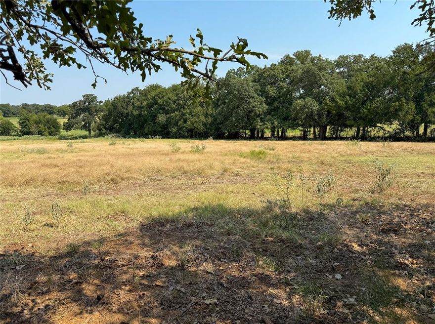 NEW LISTING

Beautifully treed acreage with mix of Live Oak and Pecans.  There is an open area on property that will make a very nice Build site.  
Sandy Loam Soil perfect for horses.
This approximately 6.2 acre tract will be split from original 11.9 acres
There is an Older water well on property.
 Just minutes to Lake Whitney or Brazos River.

No manufactured, mobiles, or swine