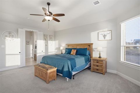 Tiny photo for 421 Evening Fire Drive, Waxahachie, TX 75167 (MLS # 21197108)