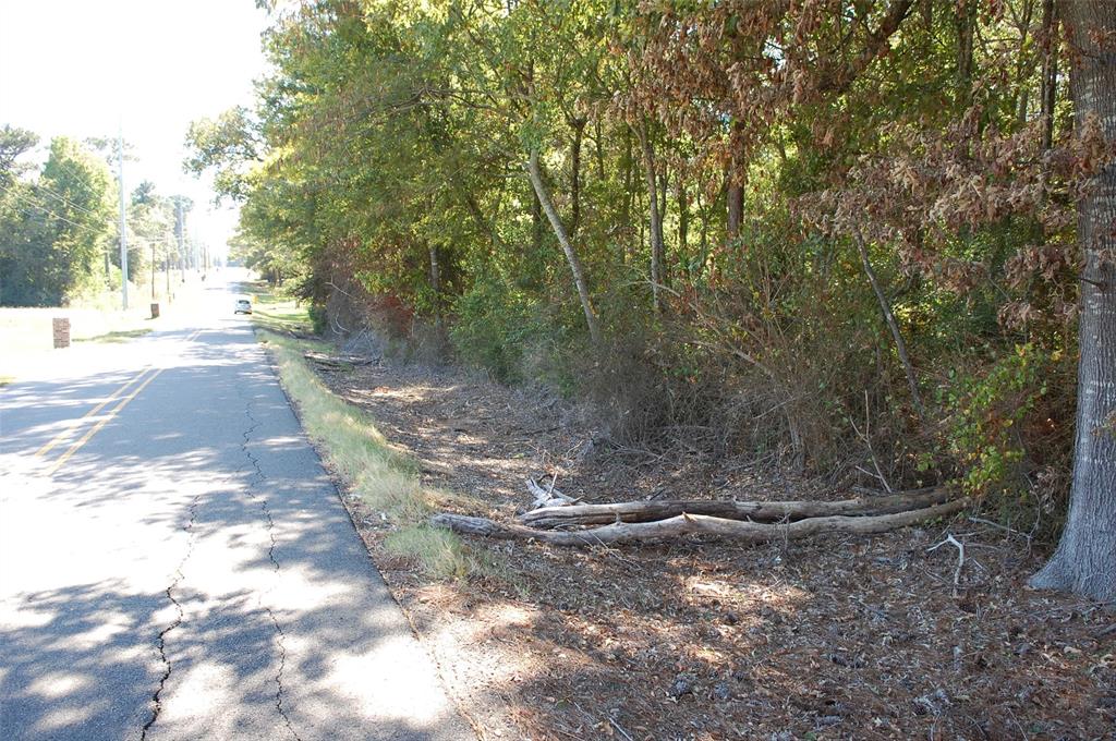 Ellen Hall Estate Pt - Land