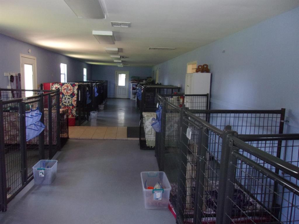 Sulphur Springs - Commercial Sale