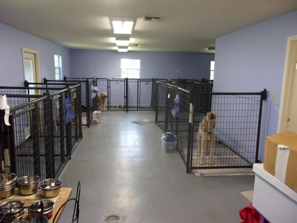 Sulphur Springs - Commercial Sale