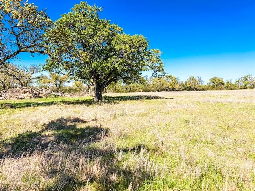 This is your chance to own a little piece of Texas.  Get away from the city lights and enjoy country life on this 7-acre property.  Mostly open with a few trees at the back.  This place would make a great weekend getaway or your new home.  Survey available, deed restrictions, and owner financing available.
