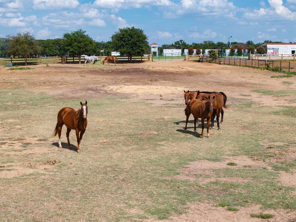 Prestonwood Polo & Country Club - Land