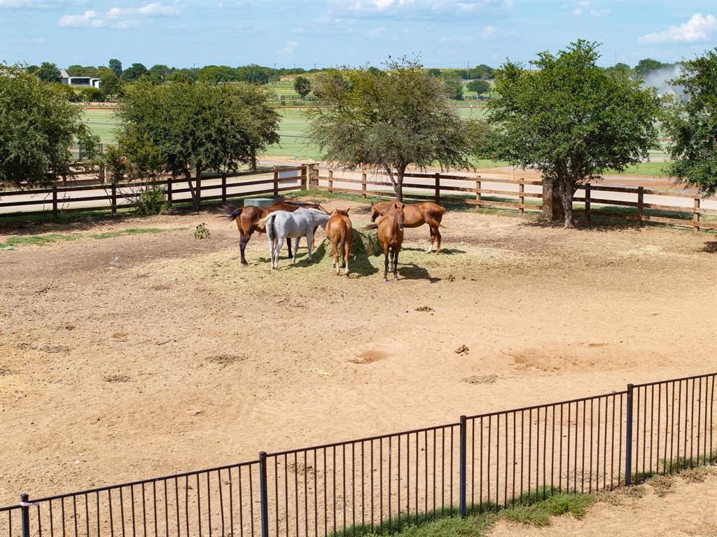 Prestonwood Polo & Country Club - Land