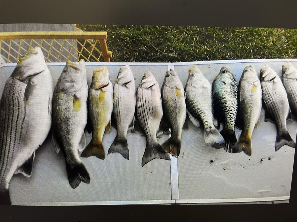 Reflection Ridge at Feather Bay - Land