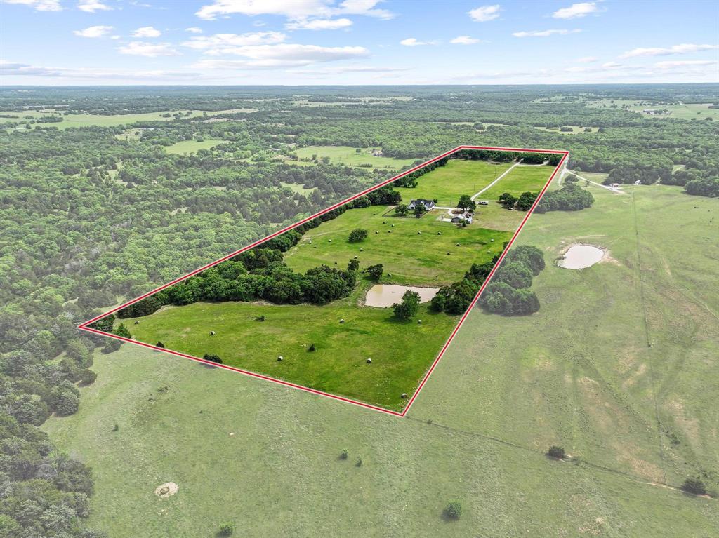 Tinsley Tam - Farm