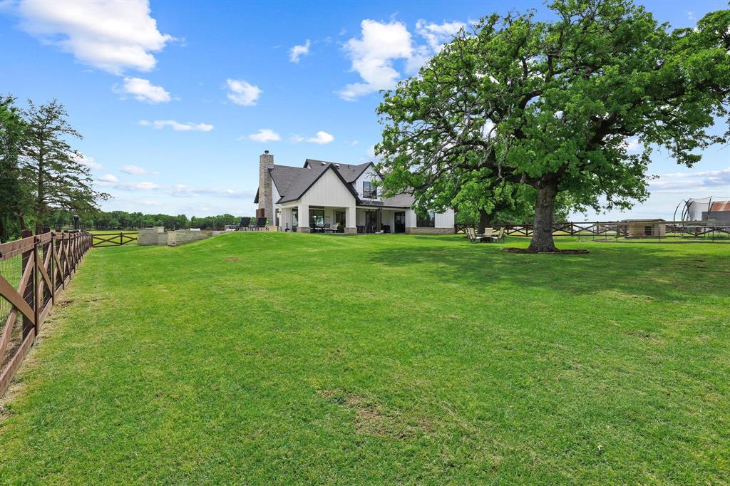 Tinsley Tam - Farm