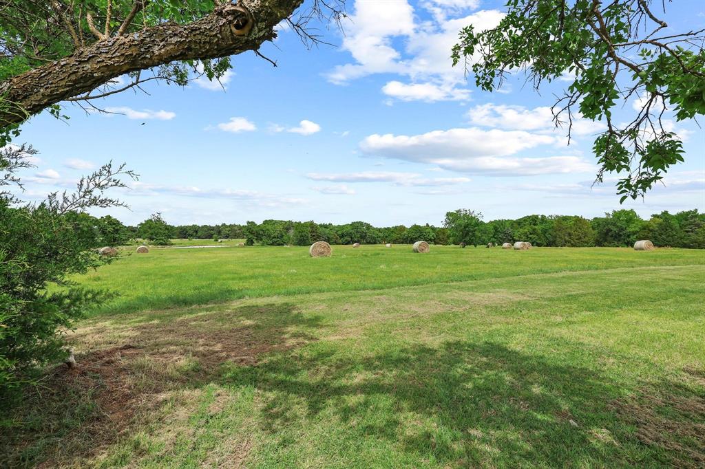 Tinsley Tam - Farm