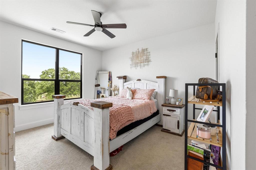 Tinsley Tam - Farm