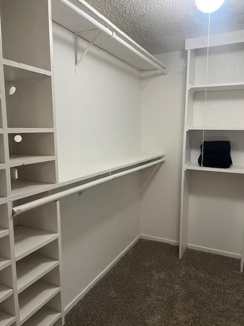 Tiny photo for 6305 High Country Trail, Arlington, TX 76016 (MLS # 21099718)