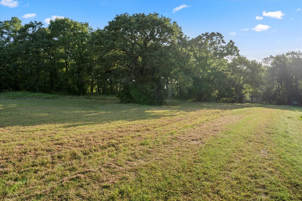 ABS A10669 P Quero Abst - Land