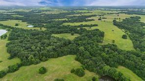 A-82 Martin Fearing Survey, A-39 Thomas Lake Surey - Farm