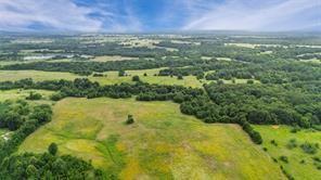 A-82 Martin Fearing Survey, A-39 Thomas Lake Surey - Farm