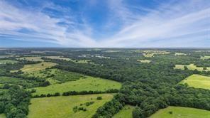 A-82 Martin Fearing Survey, A-39 Thomas Lake Surey - Farm