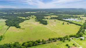 A-82 Martin Fearing Survey, A-39 Thomas Lake Surey - Farm