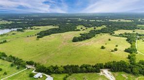 A-82 Martin Fearing Survey, A-39 Thomas Lake Surey - Farm