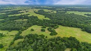 A-82 Martin Fearing Survey, A-39 Thomas Lake Surey - Farm