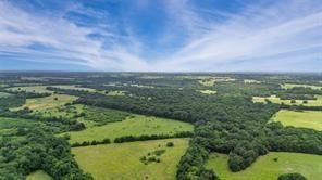 A-82 Martin Fearing Survey, A-39 Thomas Lake Surey - Farm