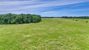 A-82 Martin Fearing Survey, A-39 Thomas Lake Surey - Farm