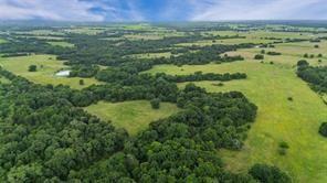 A-82 Martin Fearing Survey, A-39 Thomas Lake Surey - Farm