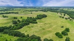 A-82 Martin Fearing Survey, A-39 Thomas Lake Surey - Farm