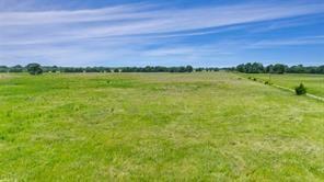 A-82 Martin Fearing Survey, A-39 Thomas Lake Surey - Farm