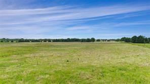 A-82 Martin Fearing Survey, A-39 Thomas Lake Surey - Farm