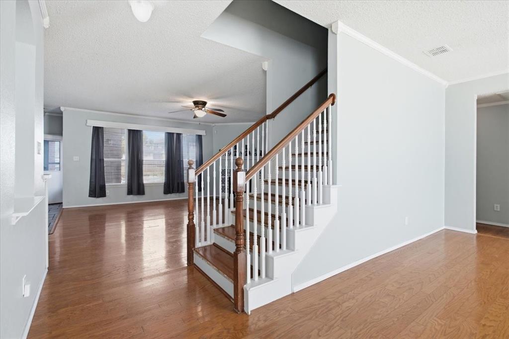 204 Newport Drive
