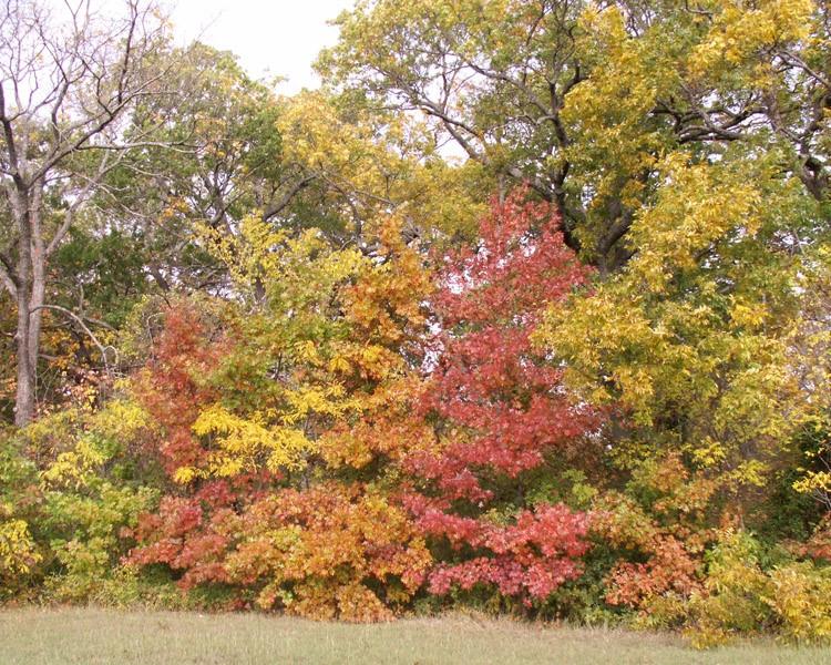 Mackenzie Meadows #1 - Residential
