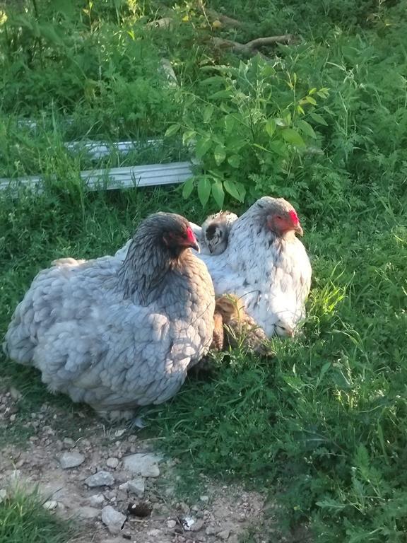 TBD #16 out of 13345 Briar Road