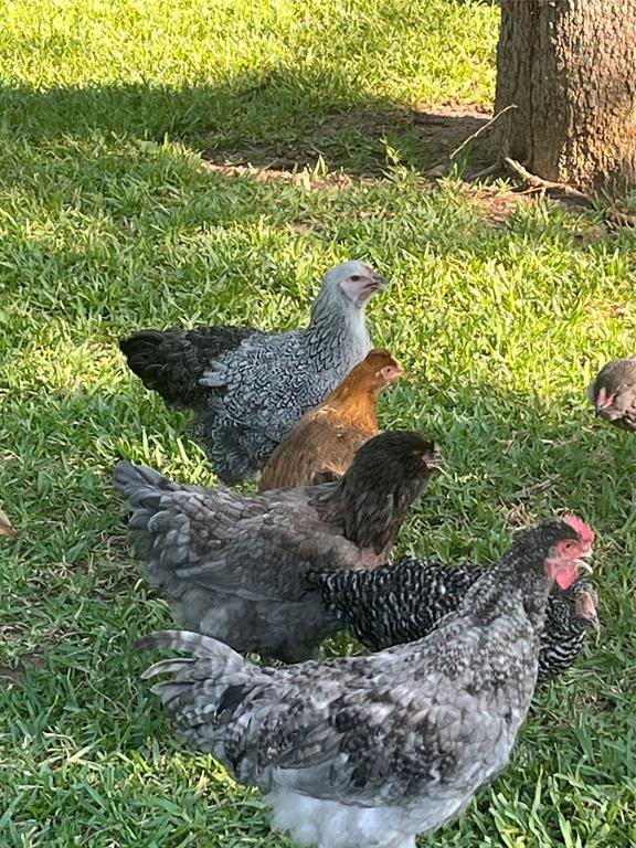 TBD #16 out of 13345 Briar Road