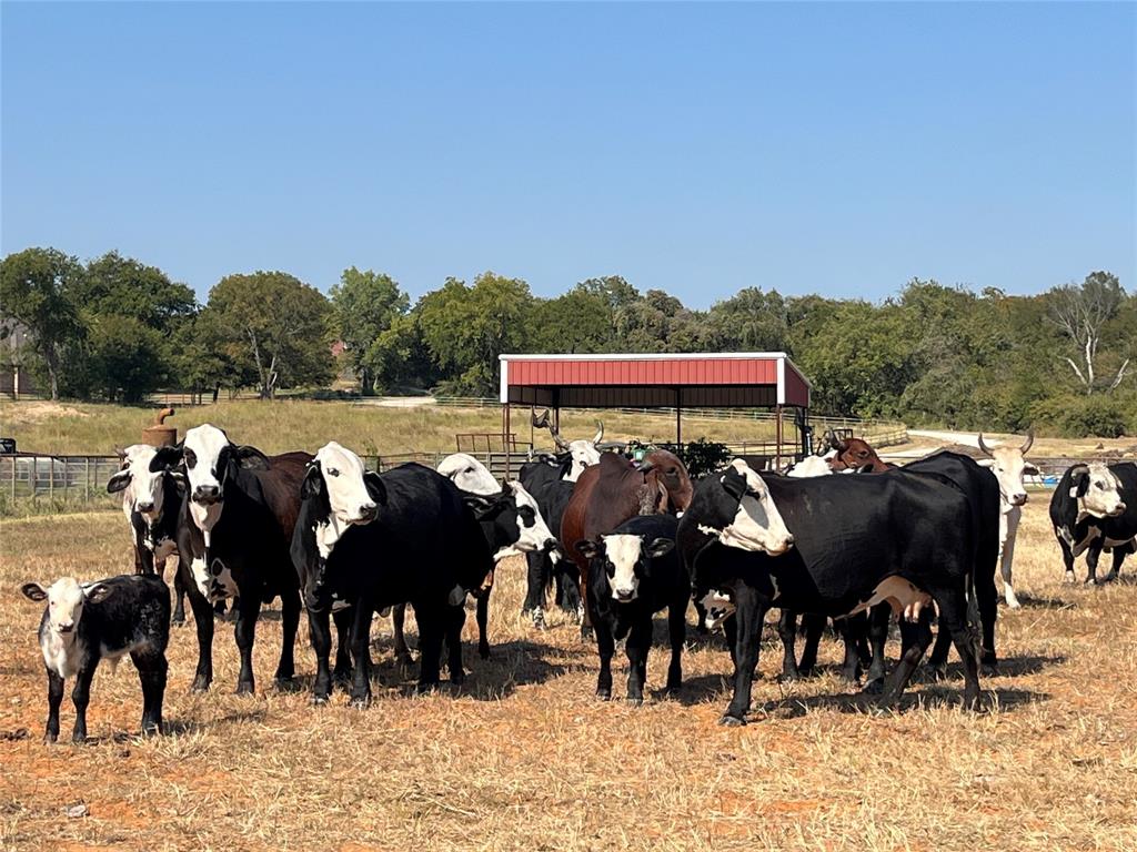 TBD #16 out of 13345 Briar Road