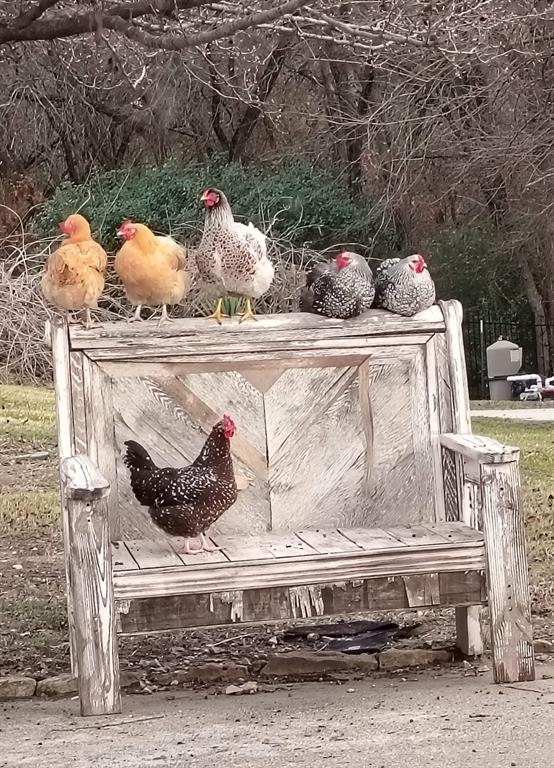 Mep&P Co Surv Abs 1127 Tracts - Land