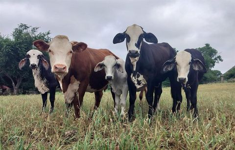 TBD #16 out of 13345 Briar Road Azle TX 76020