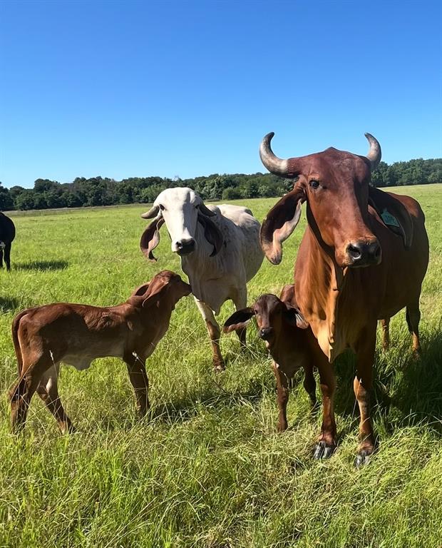 TBD #16 out of 13345 Briar Road