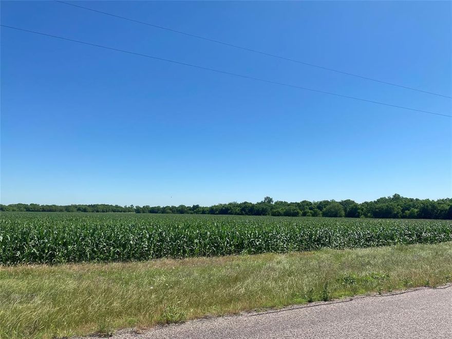 Prime Location! Amazing opportunity to build on this one-acre lot located just outside of the city limits! Located in a peaceful country setting minutes from Lake Lavon and in Josephine's ETJ.  Less than 1 mile from Community High School and a short distance to Josephine's quaint downtown area. NO HOA, NO City Taxes & minimum deed restrictions. Bring your own builder (all builders to be approved). Shops and barns are allowed.  Minimum square footage requirement is 1900 square feet of living space. Not required to start construction on home immediately. Secure your lot before it's too late!