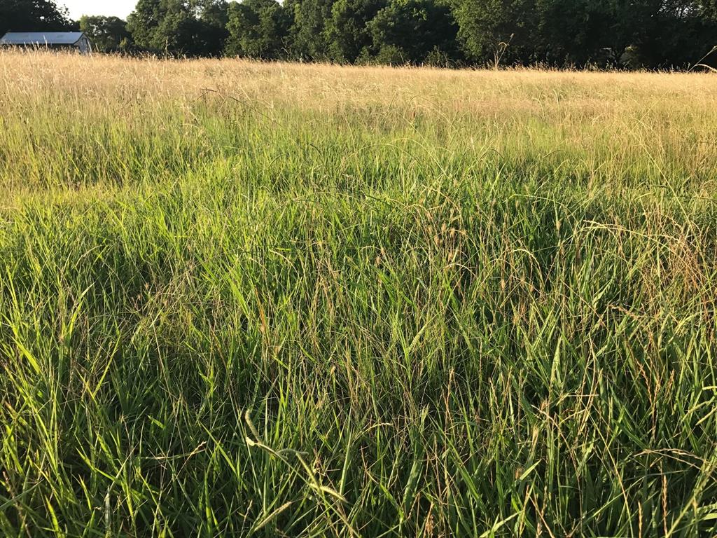 D Van Winkle Survey - Land