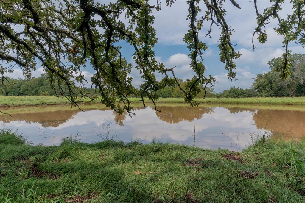 Shiloh Vista Ranch - Land
